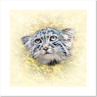 Manul-Pallas's cat Posters and Art